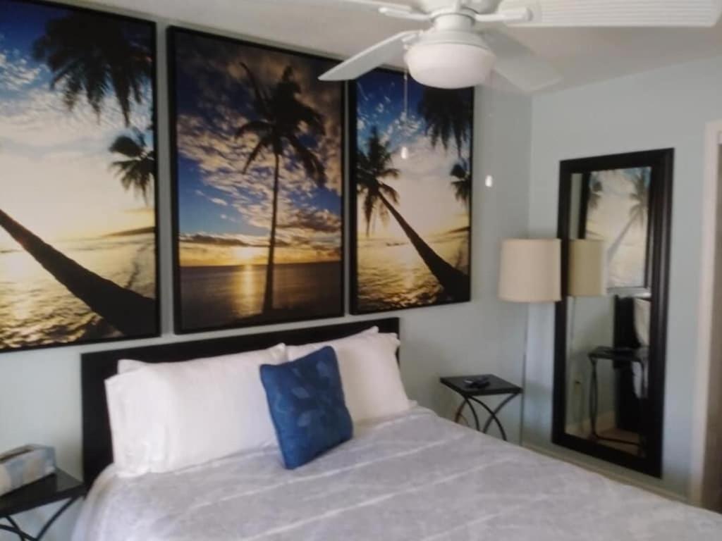 Tampa Bay Beautiful Apartment And Private Jacuzzi Dış mekan fotoğraf