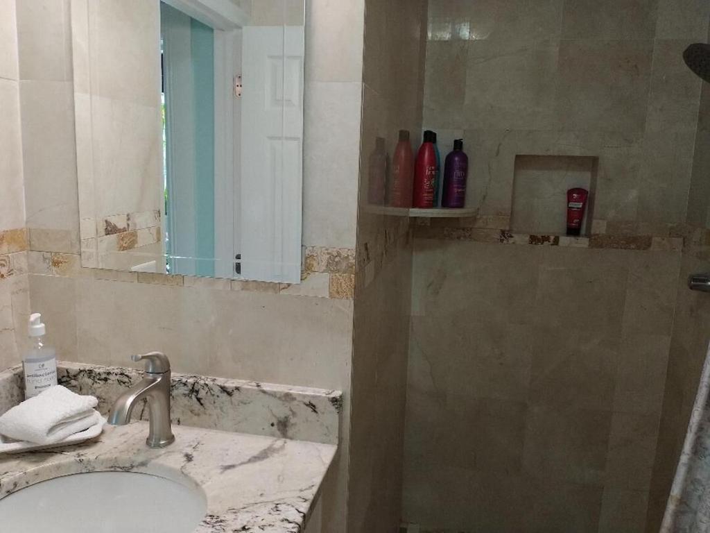 Tampa Bay Beautiful Apartment And Private Jacuzzi Dış mekan fotoğraf