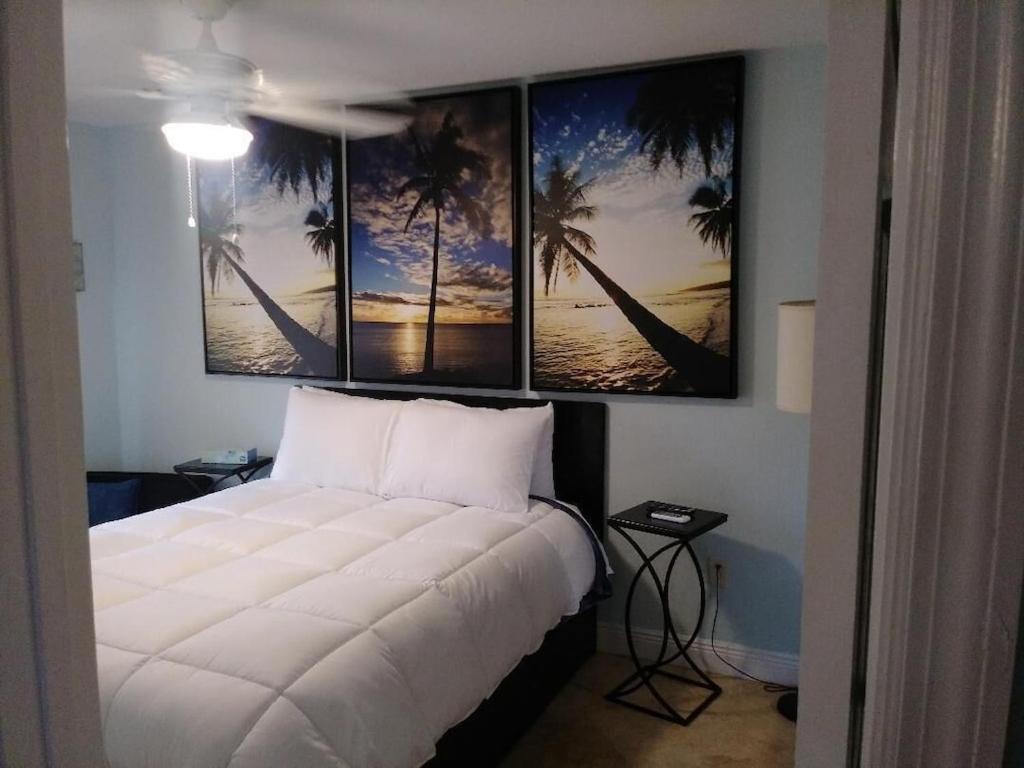 Tampa Bay Beautiful Apartment And Private Jacuzzi Dış mekan fotoğraf